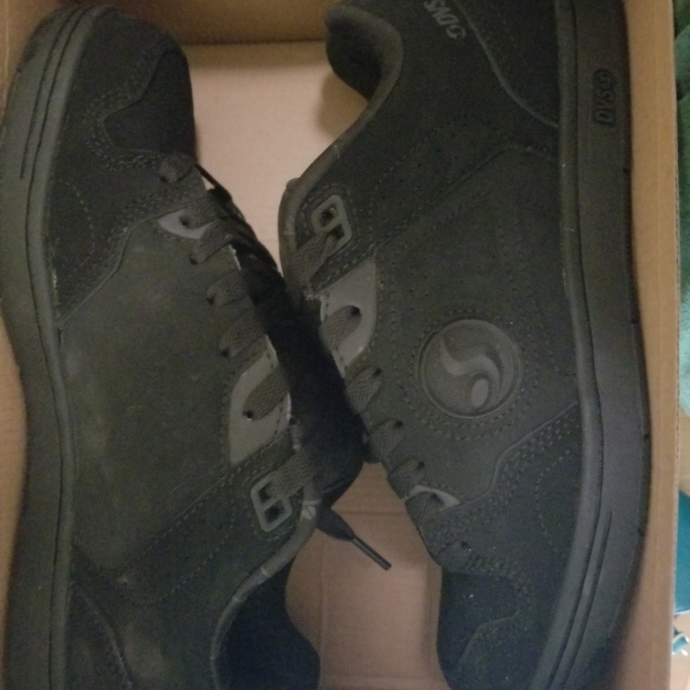 Mens DVS discord size 9.5